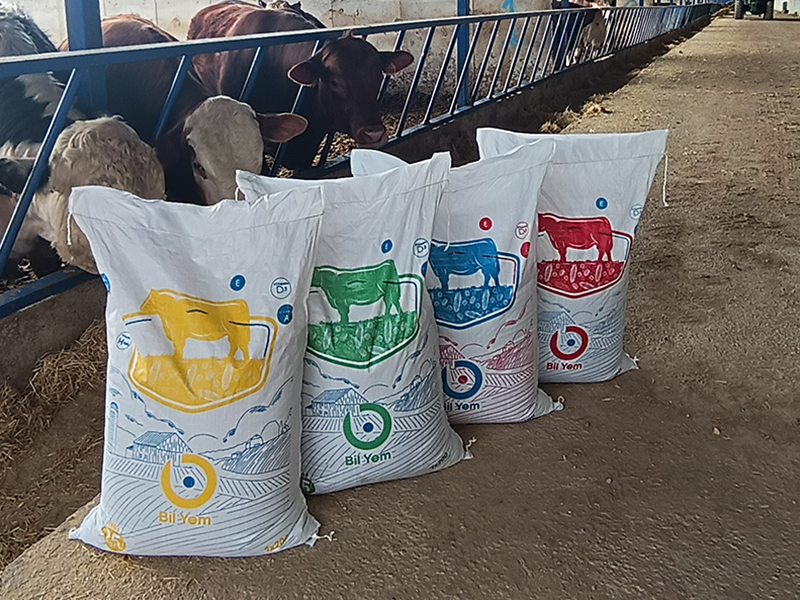 Marneuli Bölge Bayisi