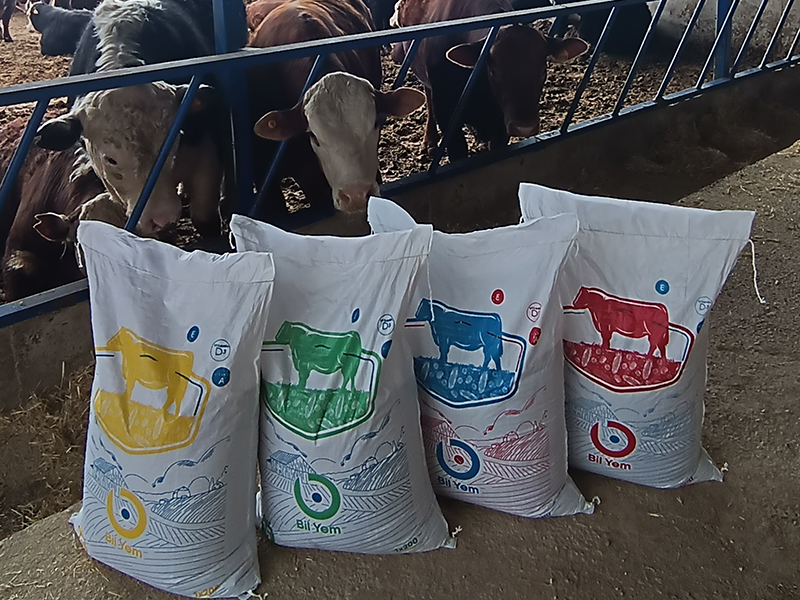 Lagodekhi Kabali Bölge Bayisi