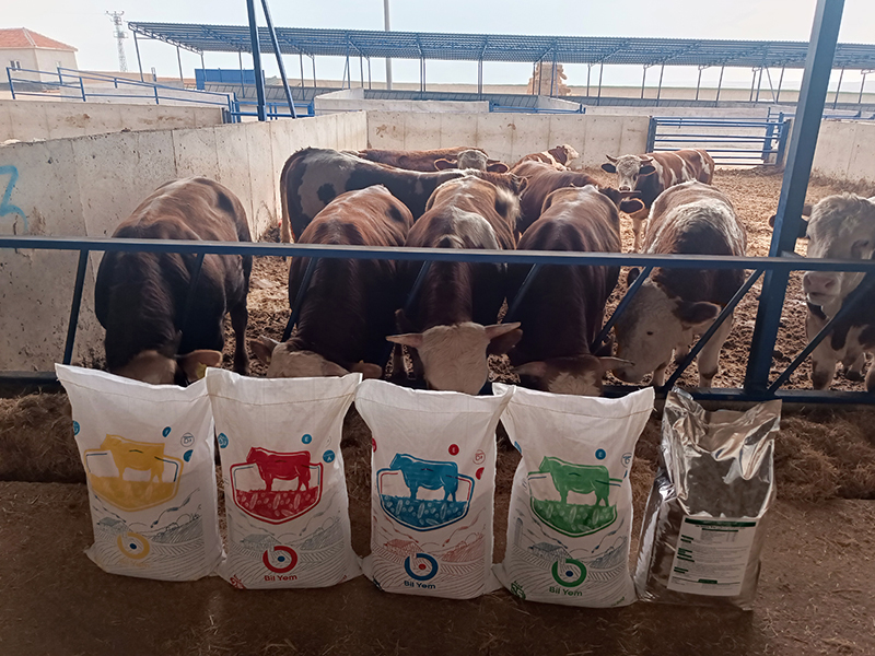 Garöcop Bölge Bayisi